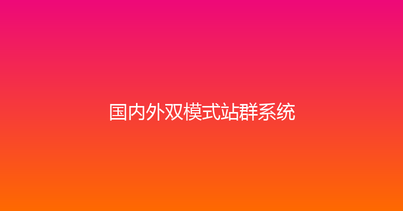 国内外双模式站群系统 封面图