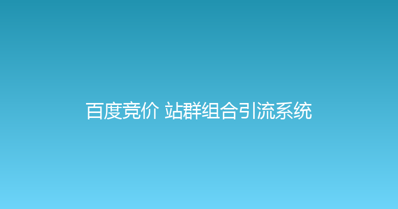 百度竞价+站群组合引流系统 封面图