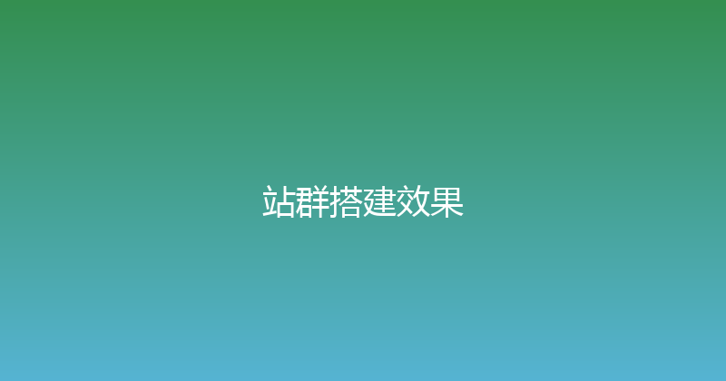 站群搭建效果 封面图