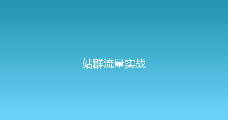 站群流量实战 封面图