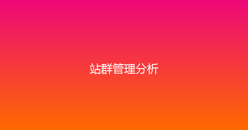 站群管理分析 封面图