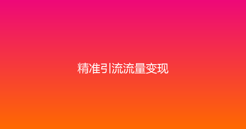 精准引流流量变现 封面图